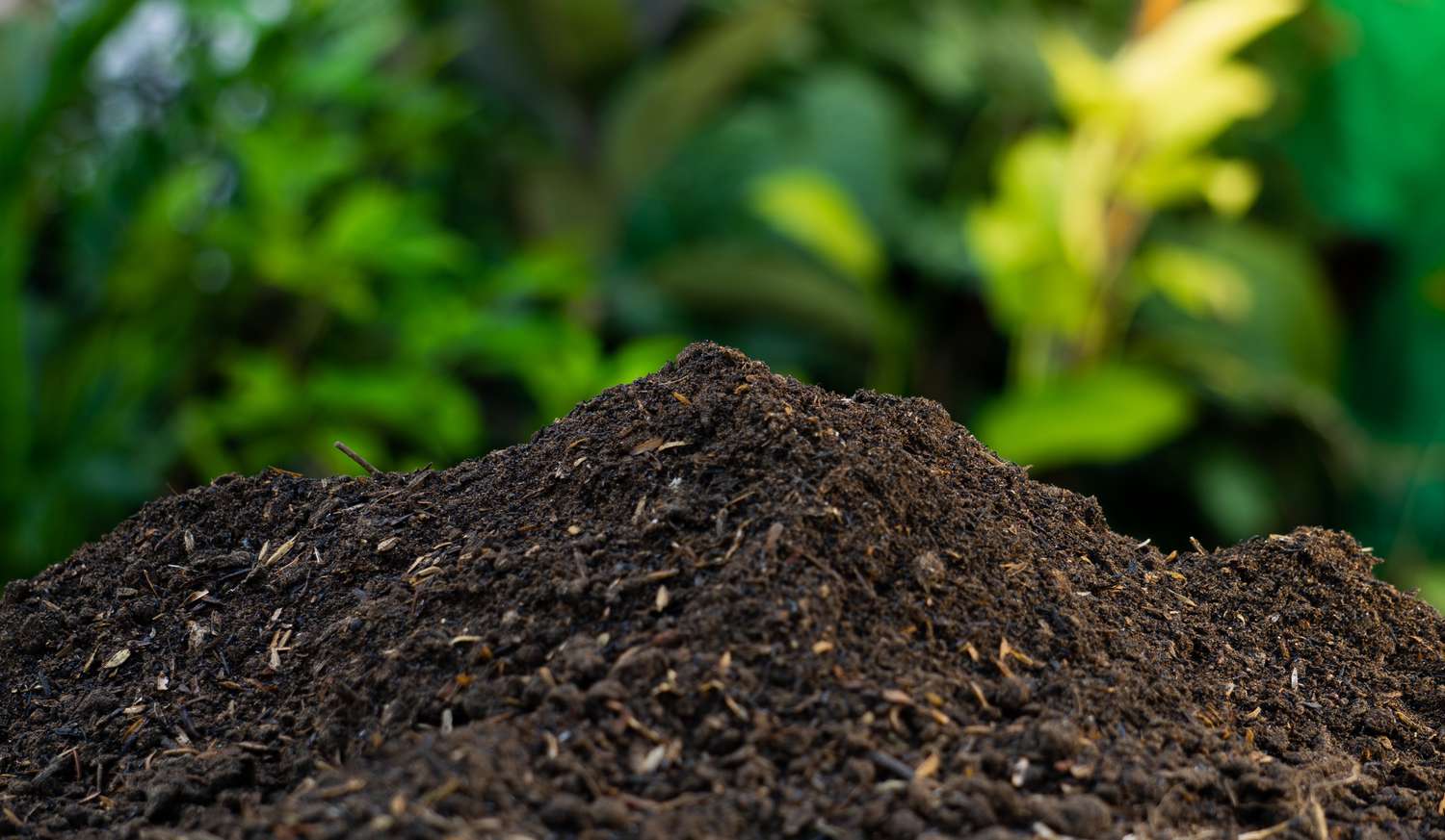 Embracing Composting Empowering Individuals to Make a Sustainable Impact
